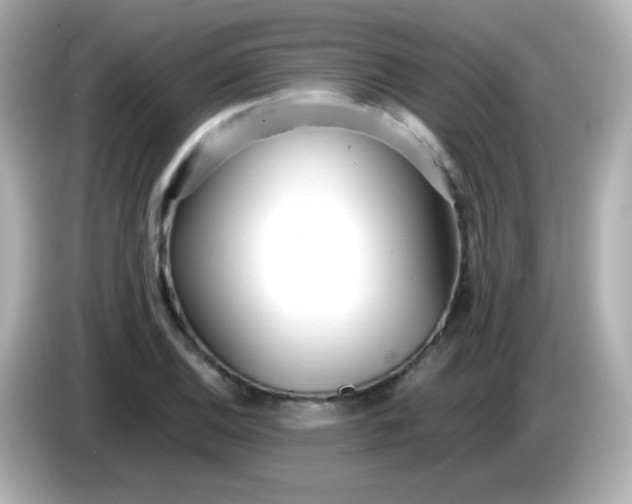 X0000086041124200704091146