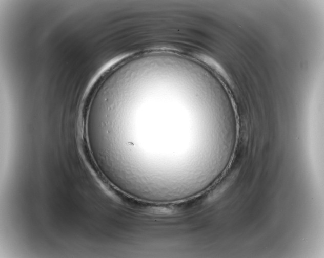 X0000086041125200704091146