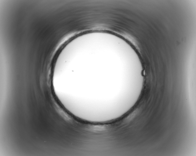 X0000086041126200704091146