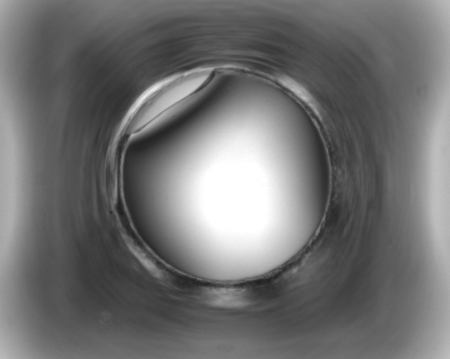 X0000086041127200704091146