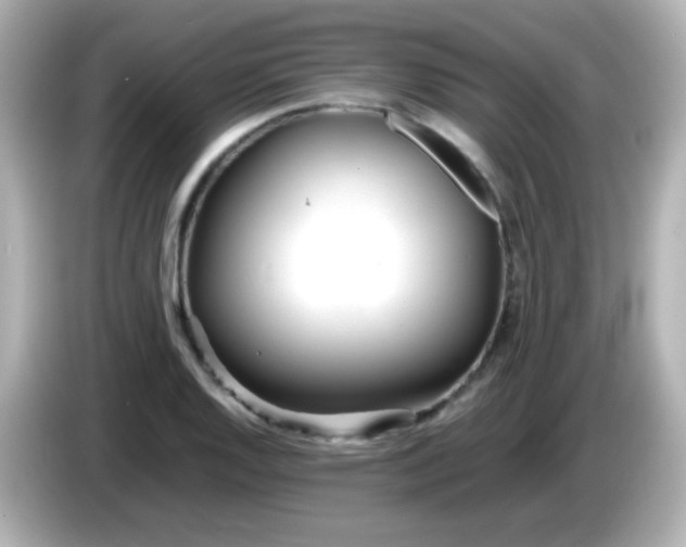 X0000086041128200704091146