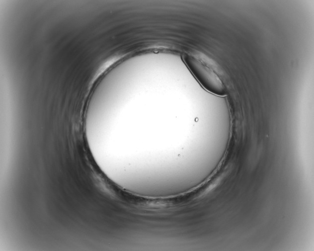 X0000086041129200704091146
