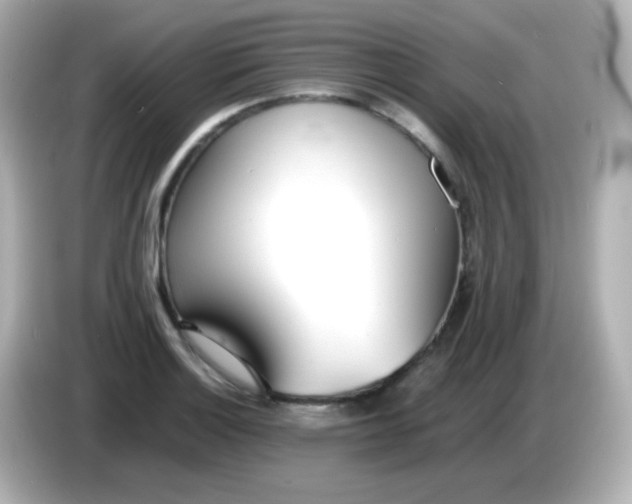 X0000086041132200704091146