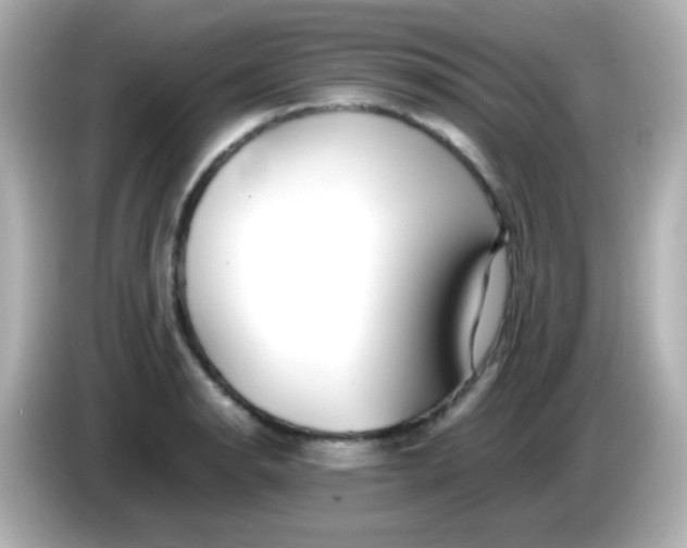 X0000086041134200704091146