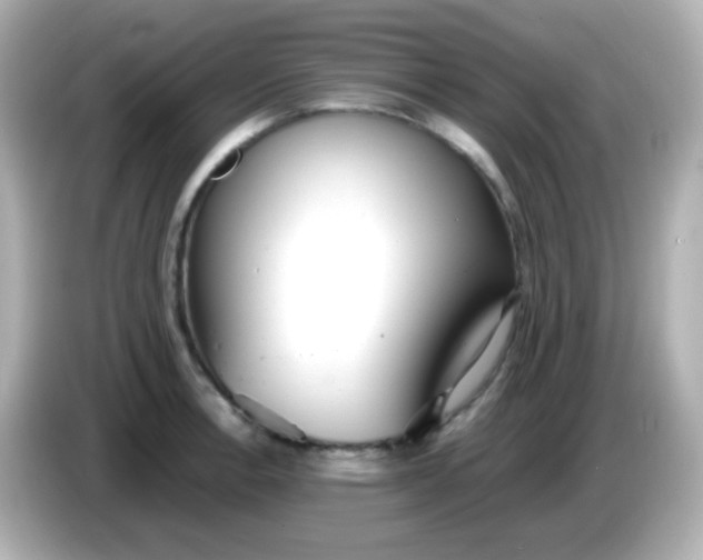X0000086041138200704091146
