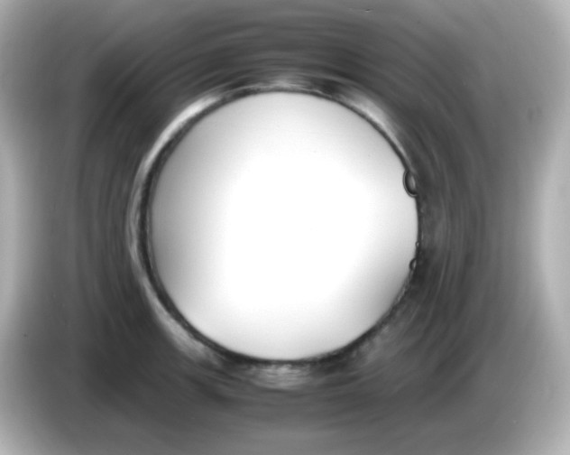 X0000086041139200704091146