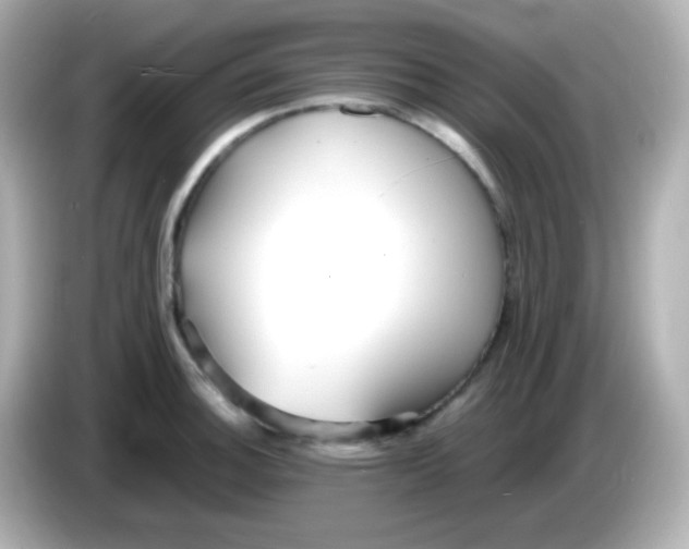X0000086041140200704091146
