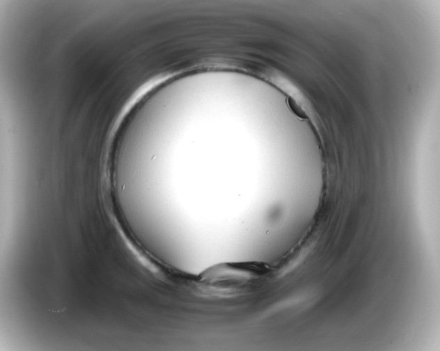 X0000086041141200704091146