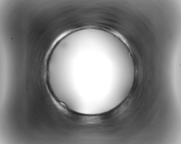 X0000086041143200704091146