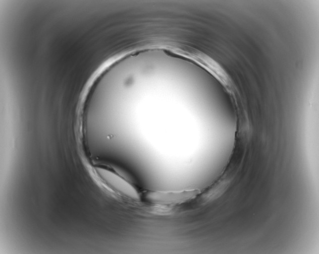 X0000086041144200704091146