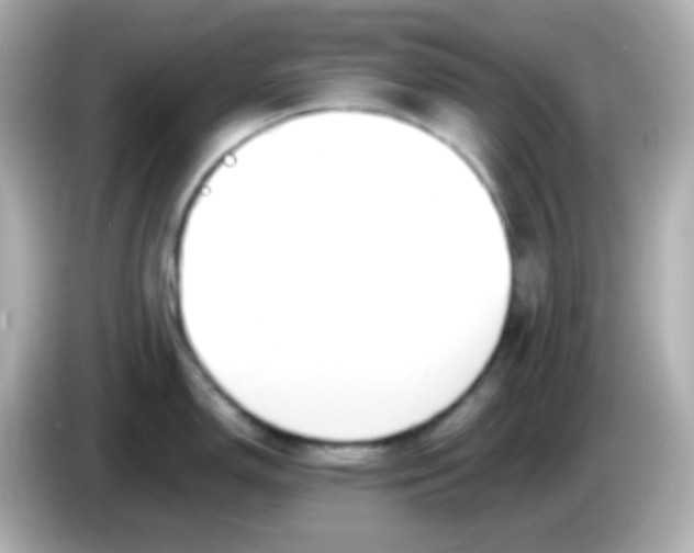 X0000086041150200704091146