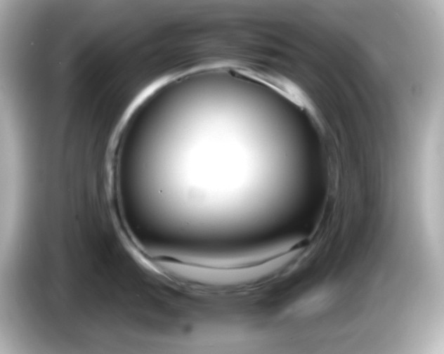 X0000086041151200704091146