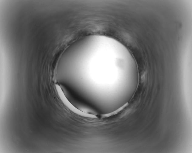 X0000086041156200704091145