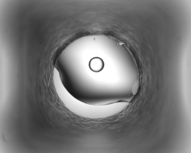 X0000086041157200704091145