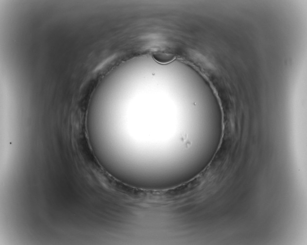 X0000086041158200704091145