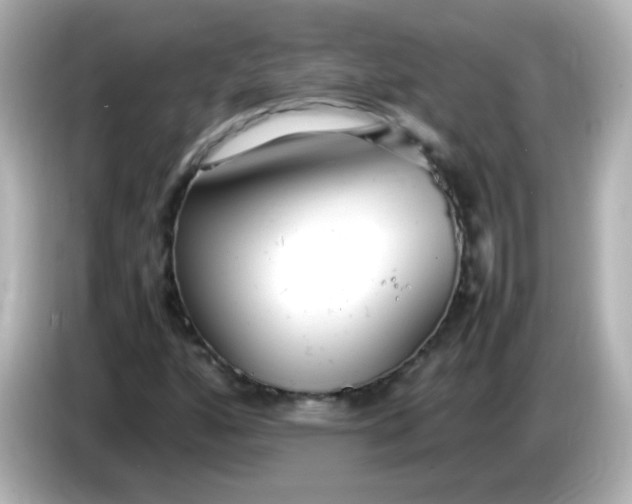 X0000086041160200704091145