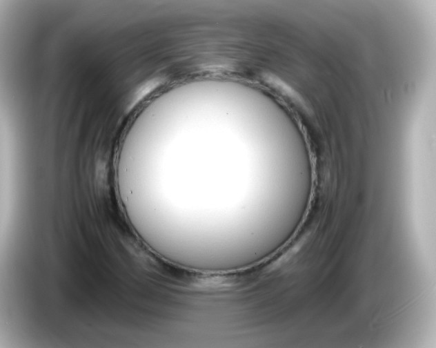 X0000086041162200704091145