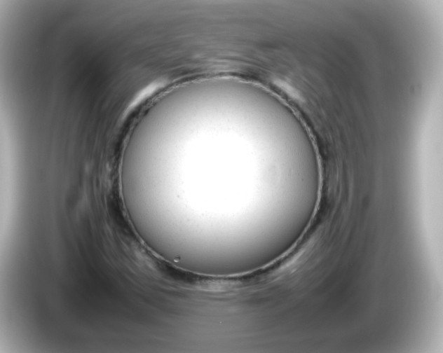 X0000086041163200704091145