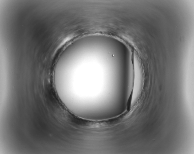 X0000086041165200704091145