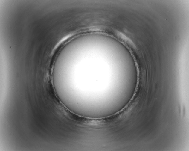 X0000086041166200704091145