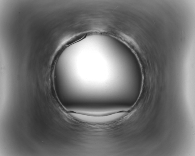 X0000086041168200704091145
