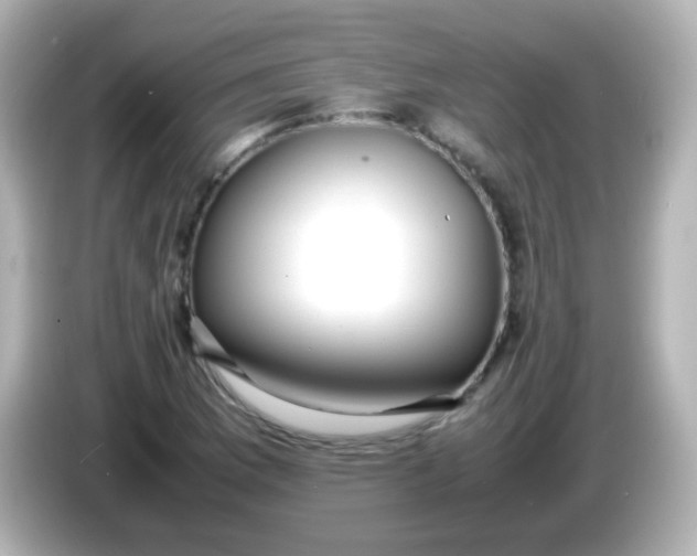 X0000086041169200704091145