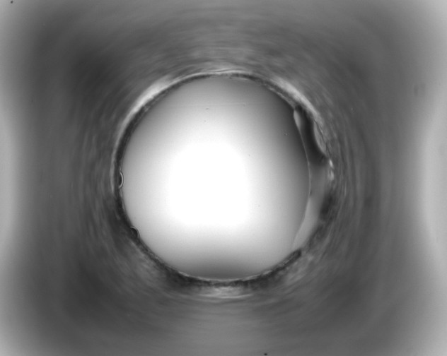 X0000086041173200704091145