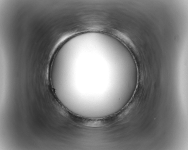 X0000086041174200704091145