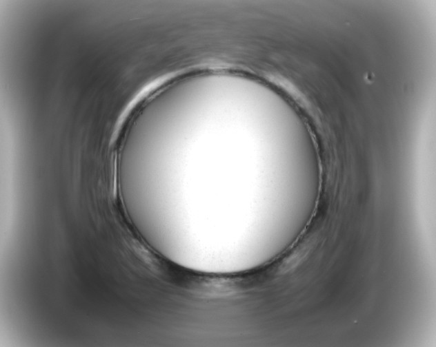 X0000086041175200704091145
