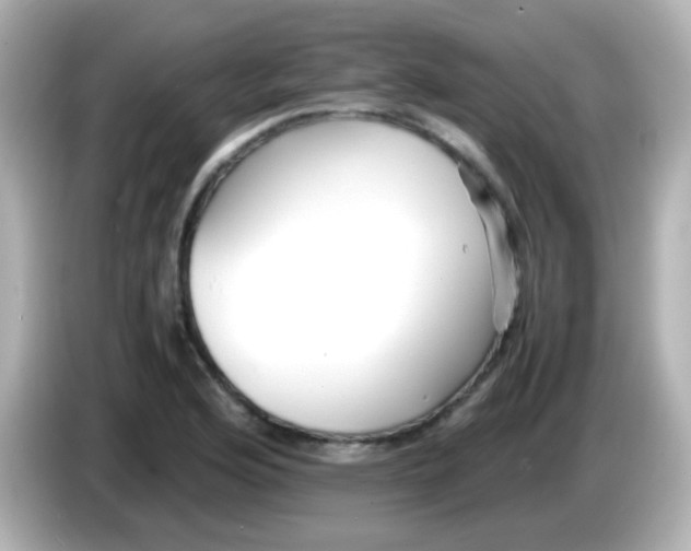 X0000086041176200704091145