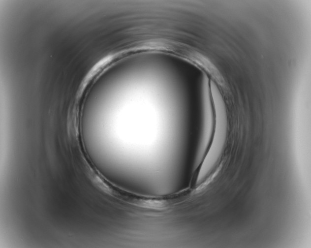 X0000086041180200704091145