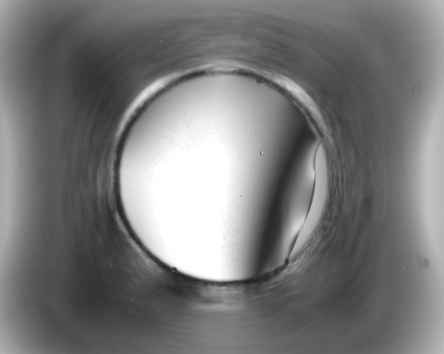 X0000086041183200704091145