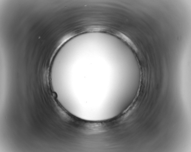 X0000086041186200704091145