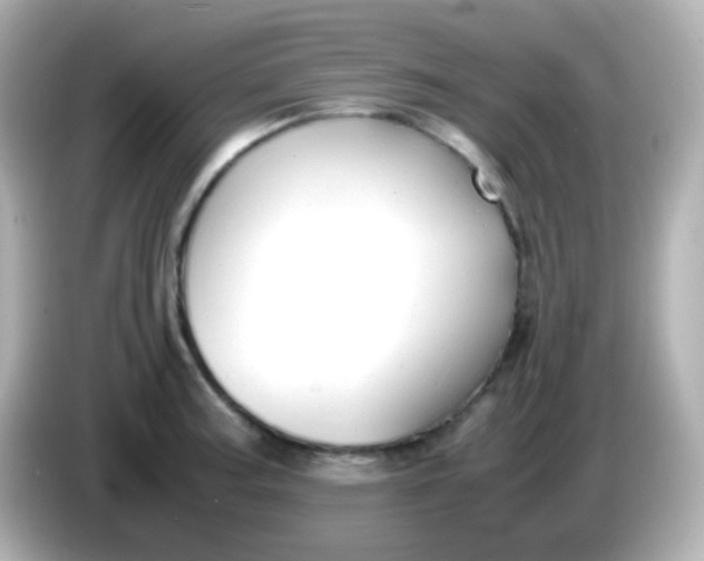 X0000086041187200704091145