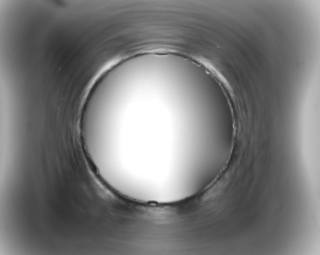 X0000086041189200704091145