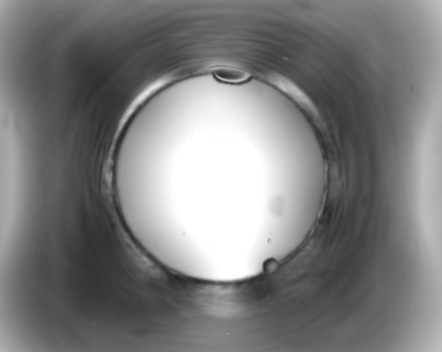 X0000086041190200704091145
