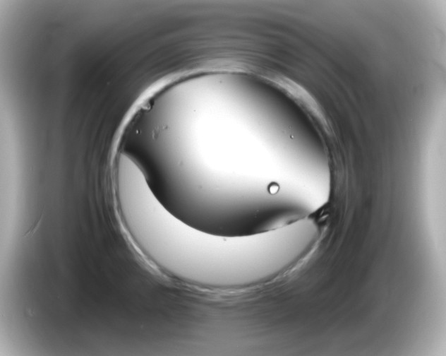 X0000086041192200704091145