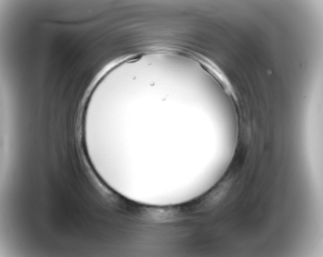 X0000086041195200704091145