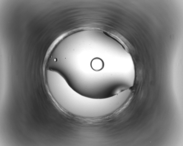 X0000086041196200704091145