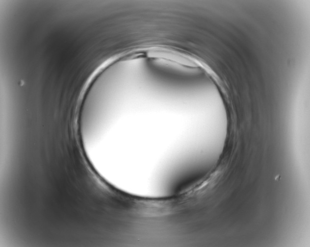 X0000086041197200704091145