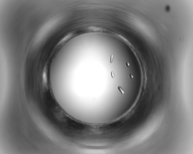 X0000086041198200704091145