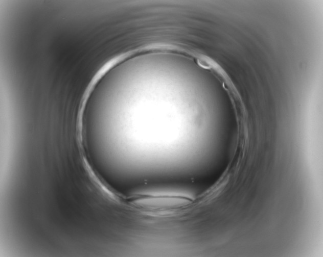 X0000086041199200704091145