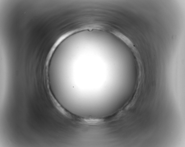 X0000086041200200704091145