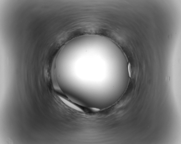 X0000086041202200704091144