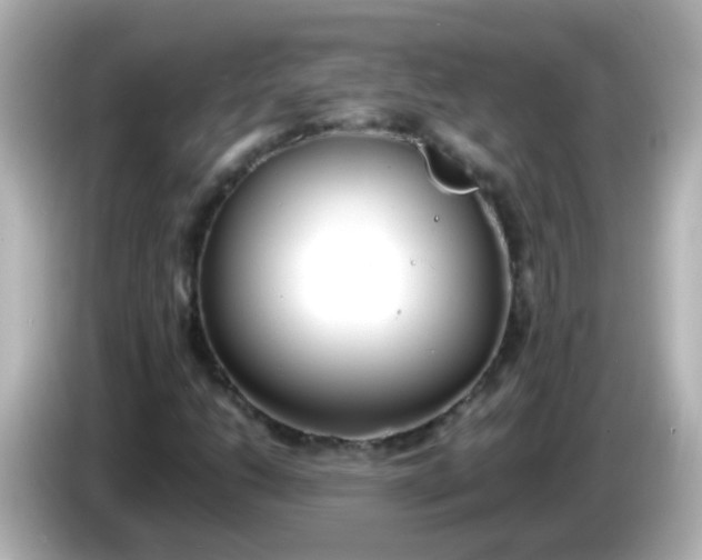 X0000086041206200704091144