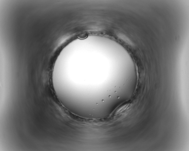 X0000086041208200704091144