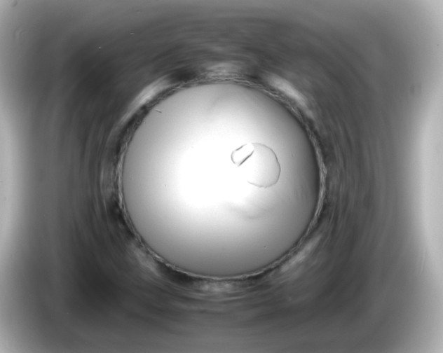 X0000086041211200704091144