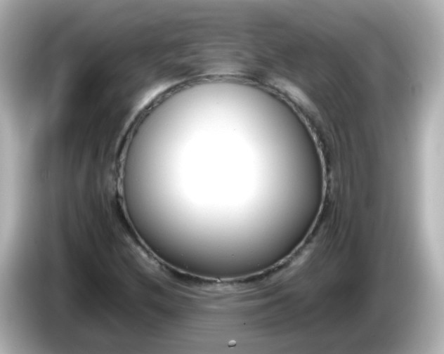 X0000086041212200704091144