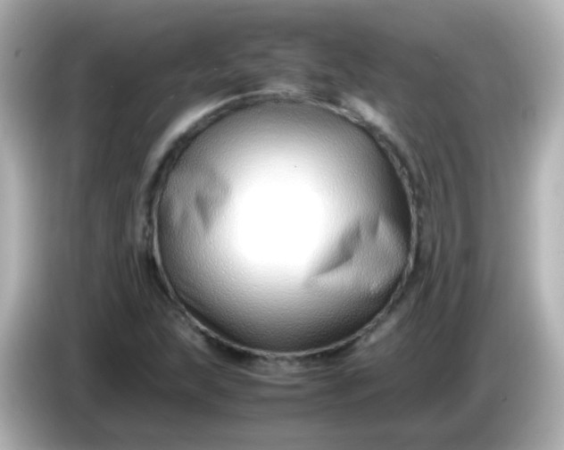 X0000086041215200704091144
