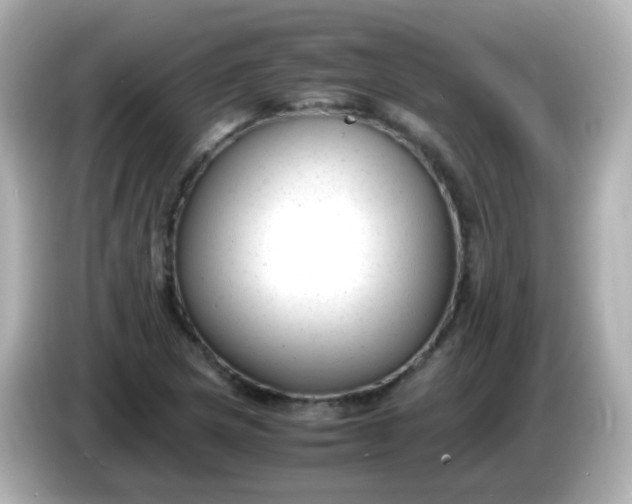 X0000086041217200704091144